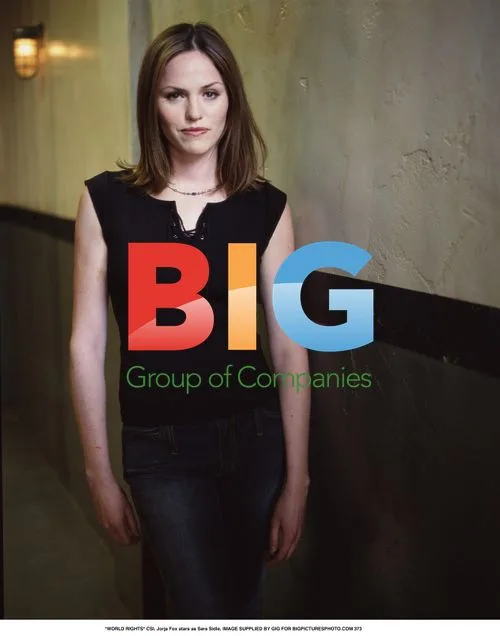 Jorja Fox as Sara Sidle on CSI
