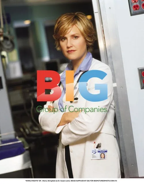 ER - Sherry Stringfield as Dr. Susan Lewis
