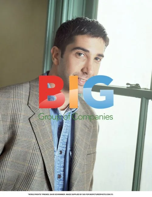 David Schwimmer in Blue and Grey