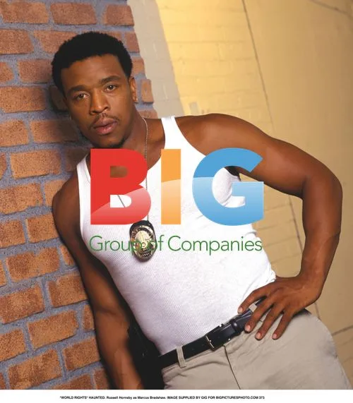 Russell Hornsby as Marcus Bradshaw