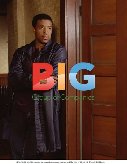 Russell Hornsby as Detective Marcus Bradshaw