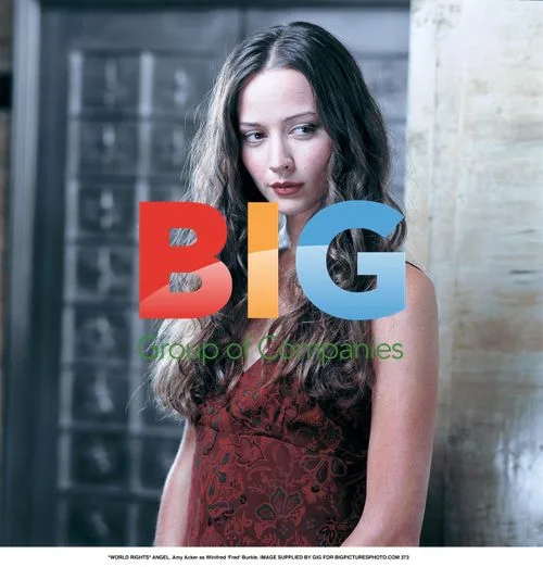 Amy Acker as Fred Burkle