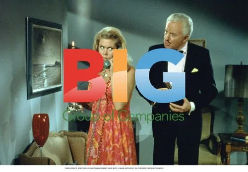 Bewitched: Elizabeth Montgomery and David White