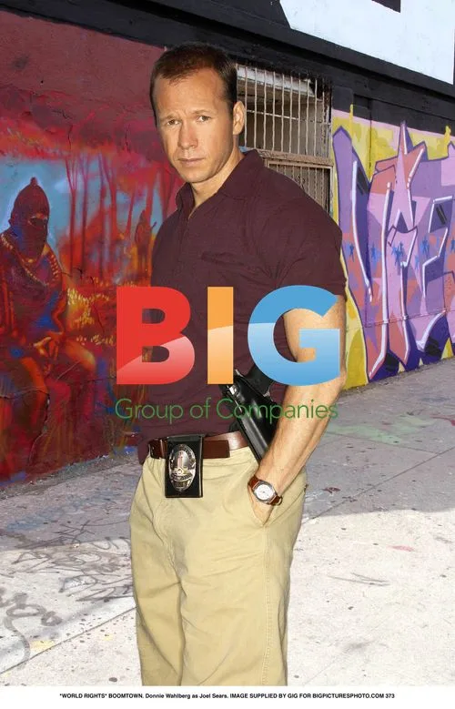 Donnie Wahlberg as Joel Sears