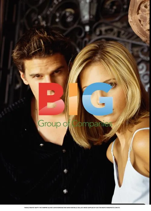BUFFY THE VAMPIRE SLAYER. DAVID BOREANZ AND SARAH MICHELLE GELLAR