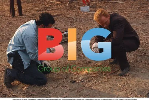 Horatio and Speedle investigate professor's hanging