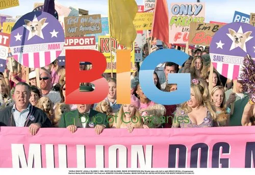 Legally Blonde 2 film still
