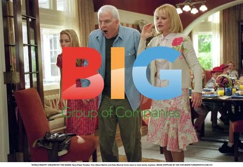 Cheaper by the Dozen family mayhem