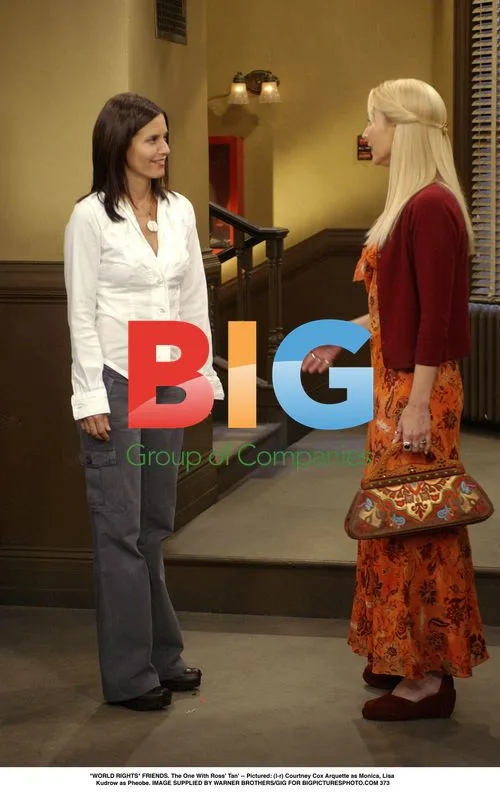 The One With Ross' Tan