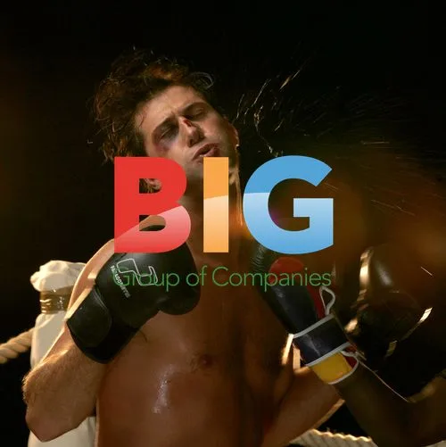 Big Brother contestants Vanessa and Roberto brawl
