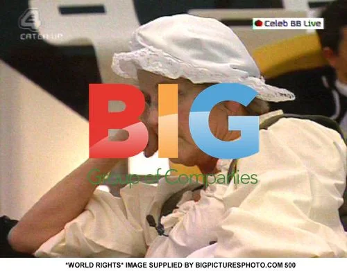 Celebrity Big Brother Court Task