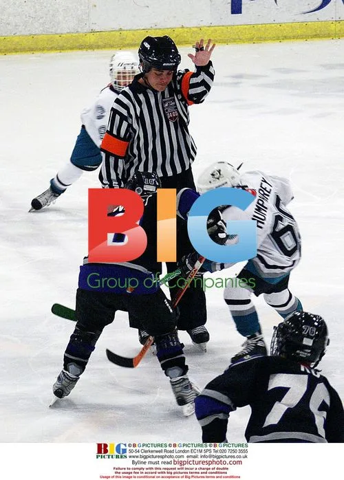 Rachel Hunter and Sean Avery Watch Liam Stewart's Hockey Game