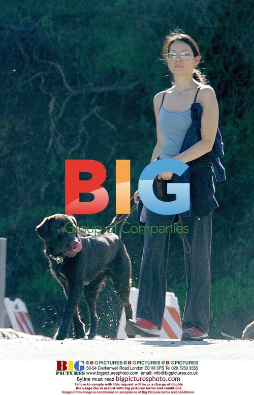 Lucy Lui walking dog in Hollywood