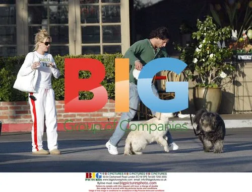 Nicolette Sheridan and Nicklas Soderblom walking dogs