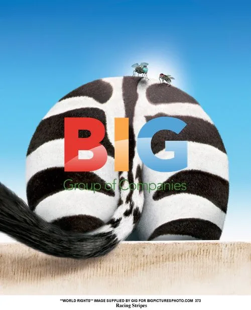 Racing Stripes Film Set